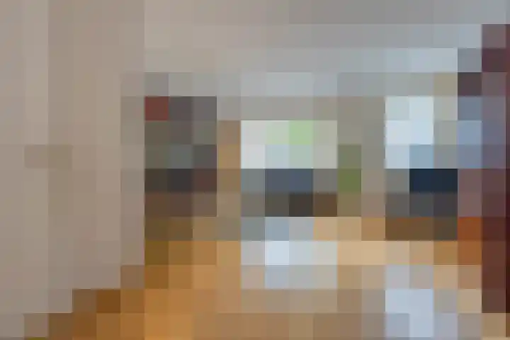 Donkerbos 11 Alphen thumbnail 6