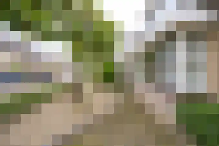 Donkerbos 11 Alphen thumbnail 60