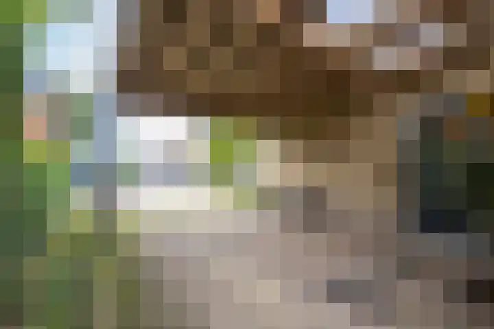 Donkerbos 11 Alphen thumbnail 61
