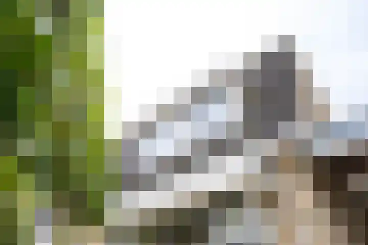 Donkerbos 11 Alphen thumbnail 62