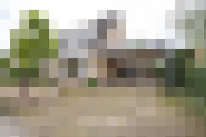 Donkerbos 11 Alphen thumbnail 65