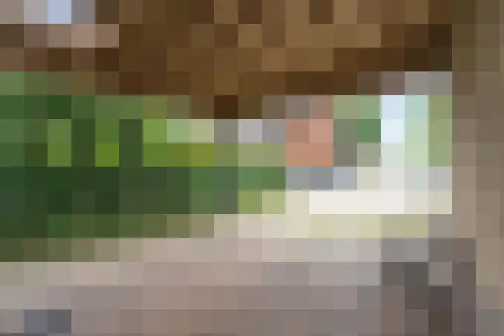 Donkerbos 11 Alphen thumbnail 66