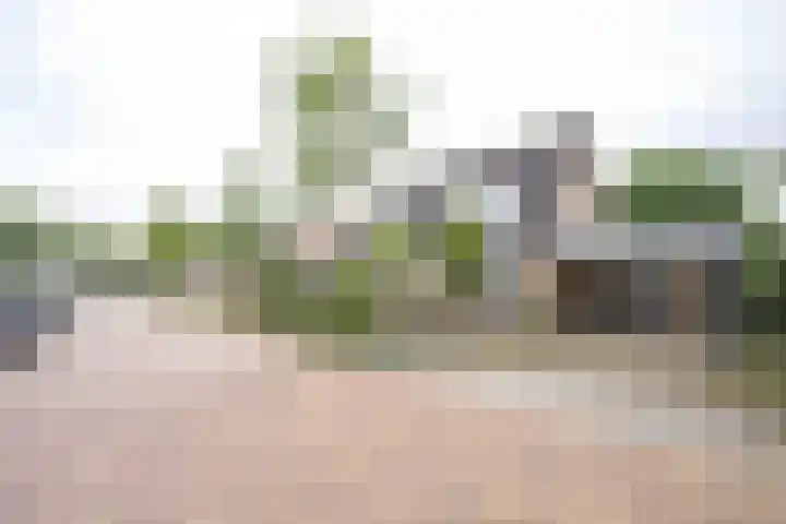 Donkerbos 11 Alphen thumbnail 67