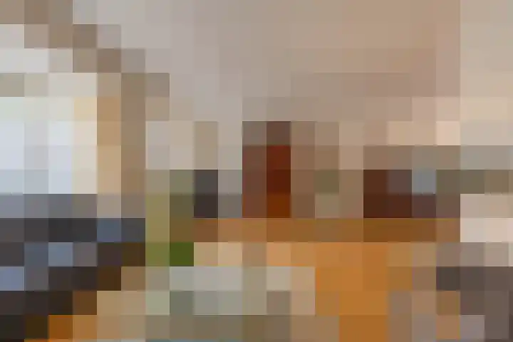 Donkerbos 11 Alphen thumbnail 7