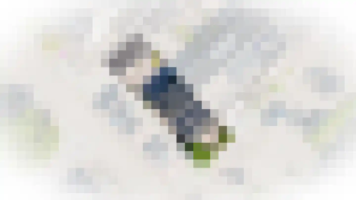 Donkerbos 16 Alphen thumbnail 33