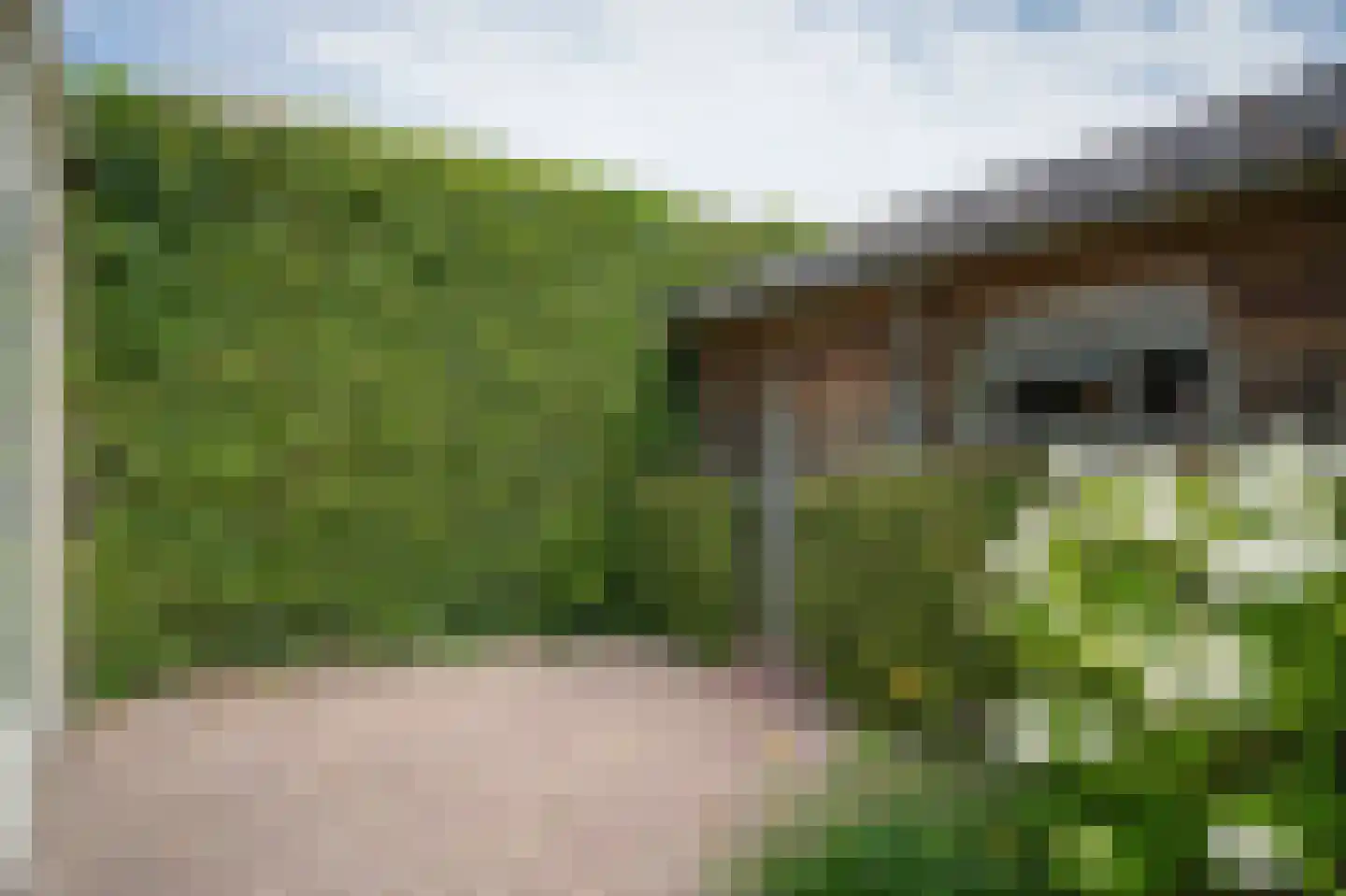 Donkerbos 37 Alphen thumbnail 30