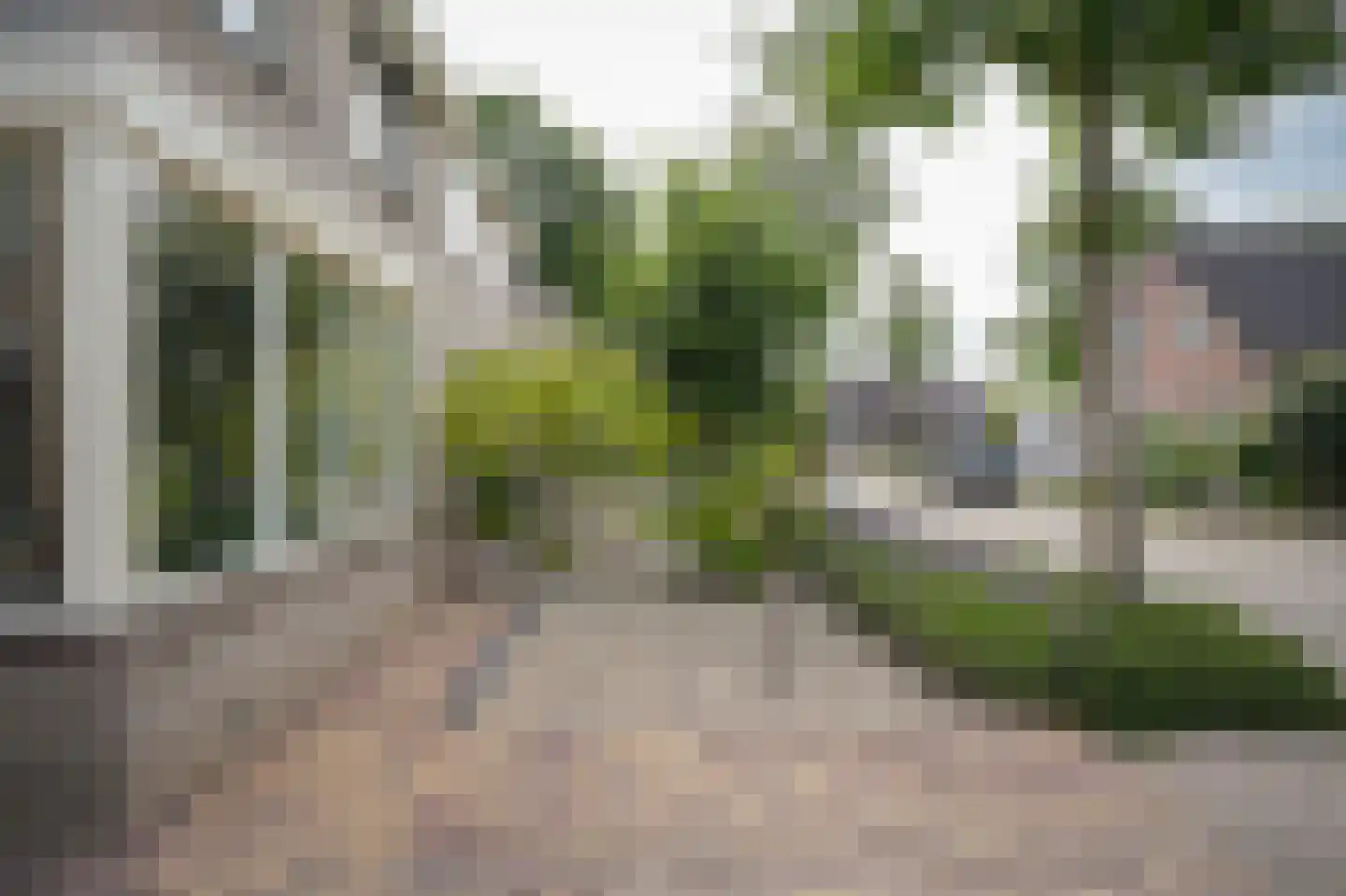 Donkerbos 37 Alphen thumbnail 36