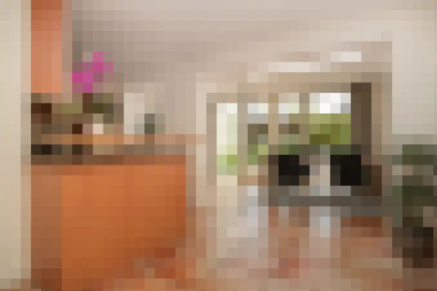 Donkerbos 37 Alphen thumbnail 6