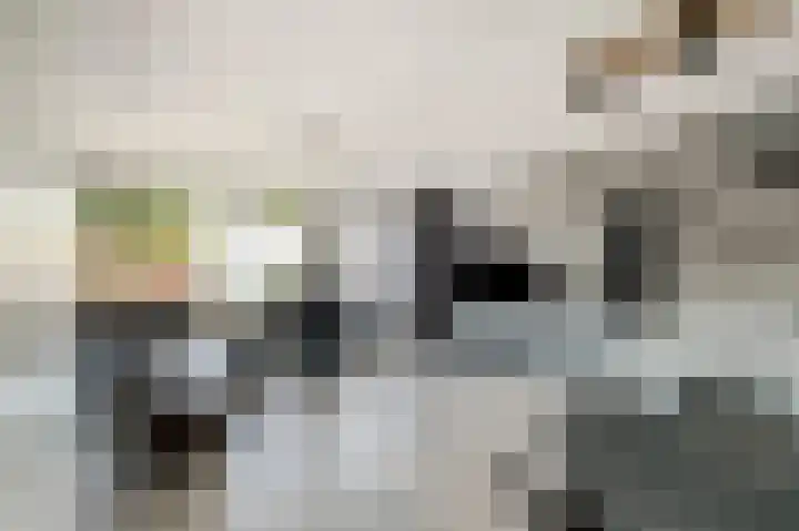 Donkerbos 6 Alphen thumbnail 10