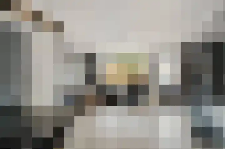 Donkerbos 6 Alphen thumbnail 11