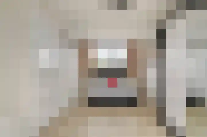 Donkerbos 6 Alphen thumbnail 17