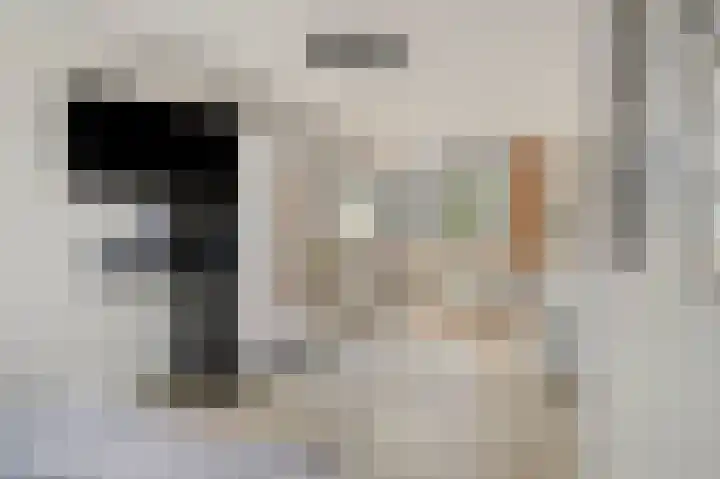Donkerbos 6 Alphen thumbnail 18