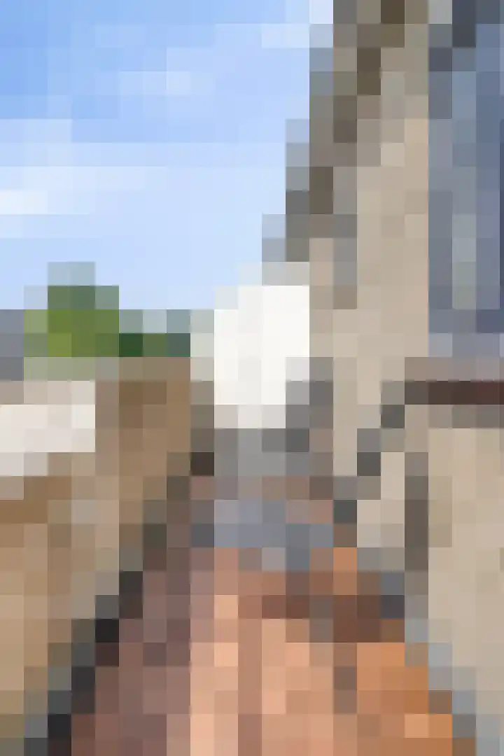 Donkerbos 6 Alphen thumbnail 19