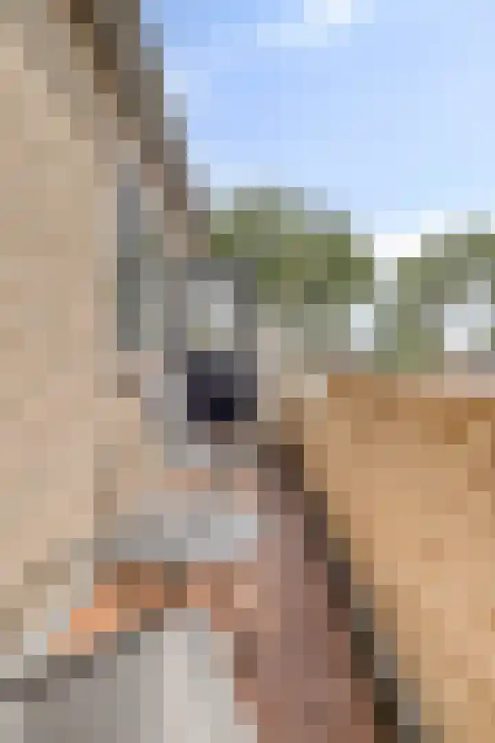 Donkerbos 6 Alphen thumbnail 20