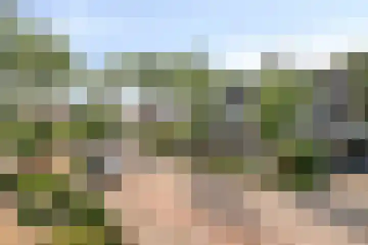 Donkerbos 6 Alphen thumbnail 21