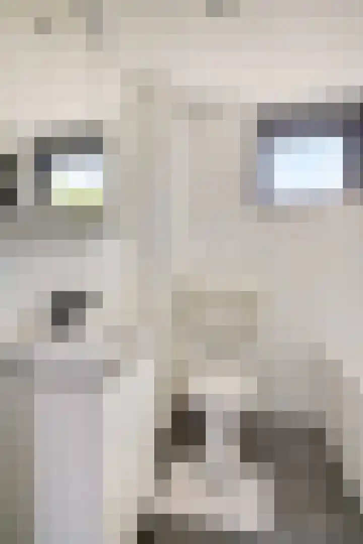 Donkerbos 6 Alphen thumbnail 22