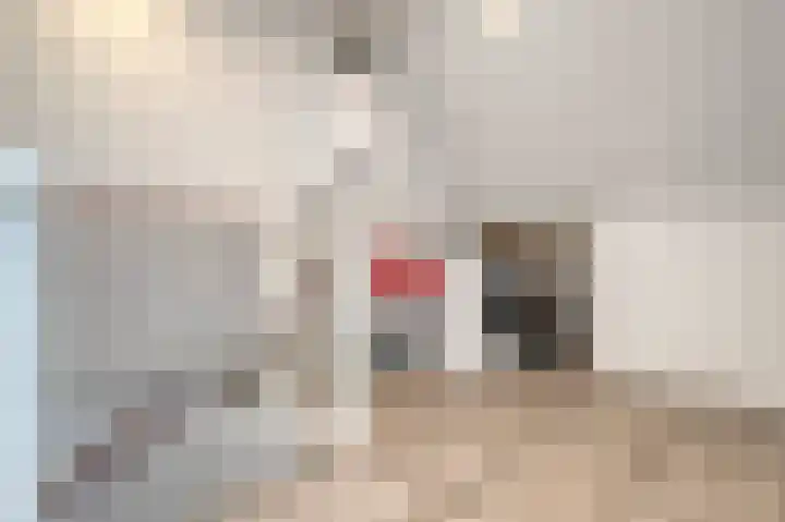Donkerbos 6 Alphen thumbnail 25