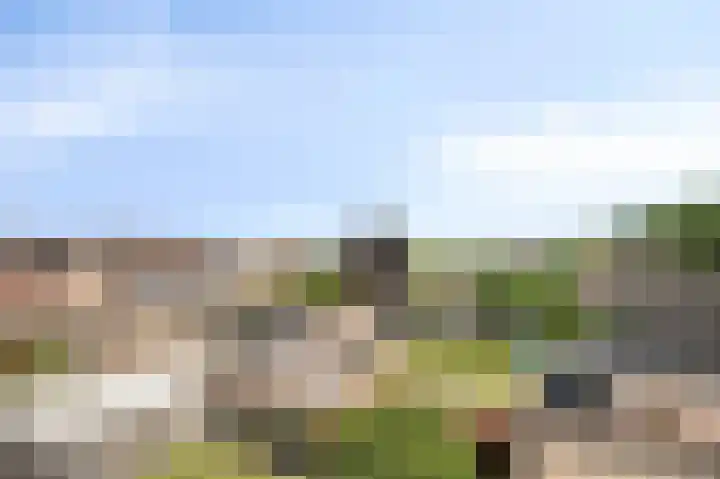 Donkerbos 6 Alphen thumbnail 28