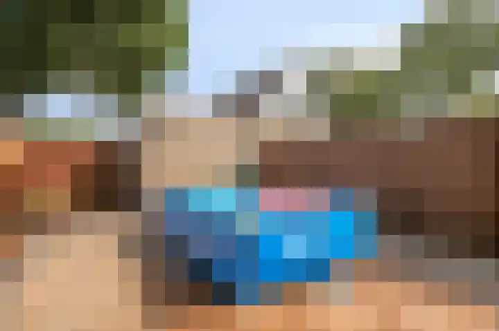 Donkerbos 6 Alphen thumbnail 30