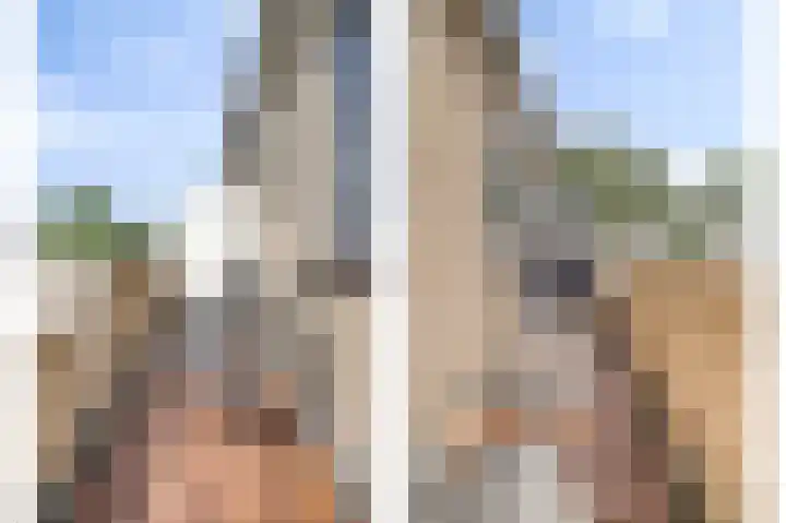 Donkerbos 6 Alphen thumbnail 36