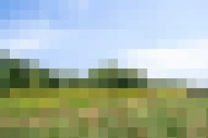 Donkerbos 6 Alphen thumbnail 40