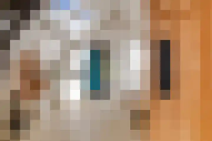 Donkere Gaard 17 Oudewater thumbnail 13