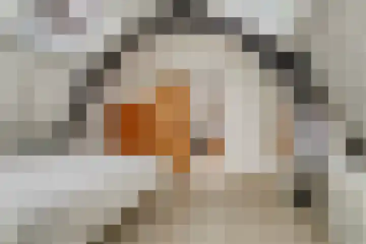 Donkere Gaard 17 Oudewater thumbnail 15