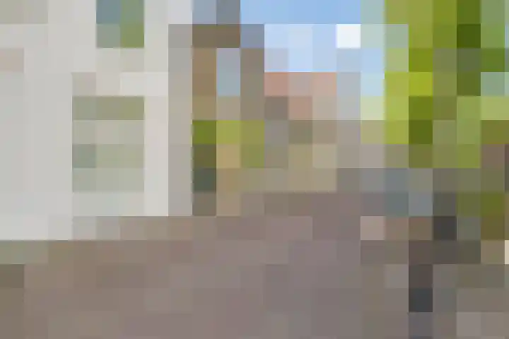 Donkere Gaard 17 Oudewater thumbnail 19