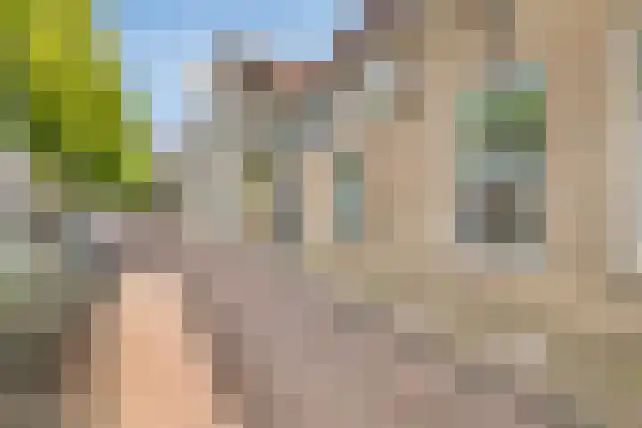 Donkere Gaard 17 Oudewater thumbnail 21
