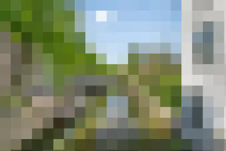 Donkere Gaard 17 Oudewater thumbnail 22