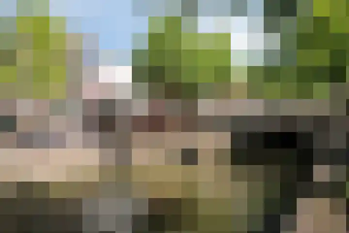 Donkere Gaard 17 Oudewater thumbnail 23