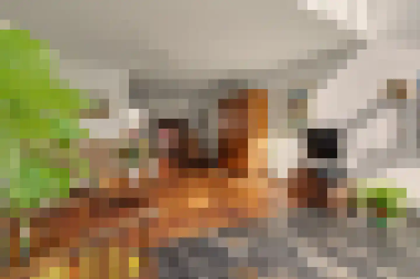Donkere Gaard 60 Tricht thumbnail 15