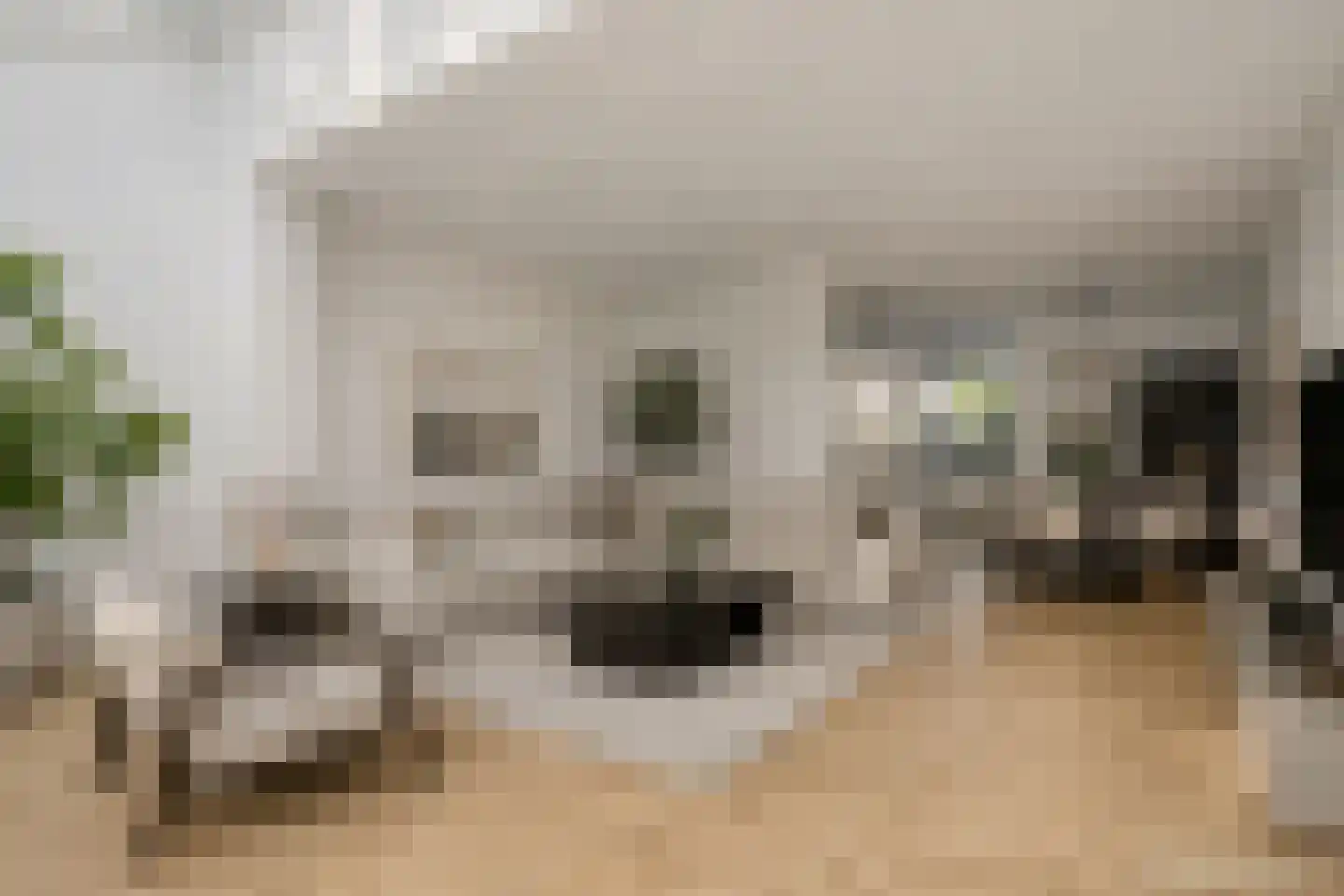 Donkere Gaard 60 Tricht thumbnail 18