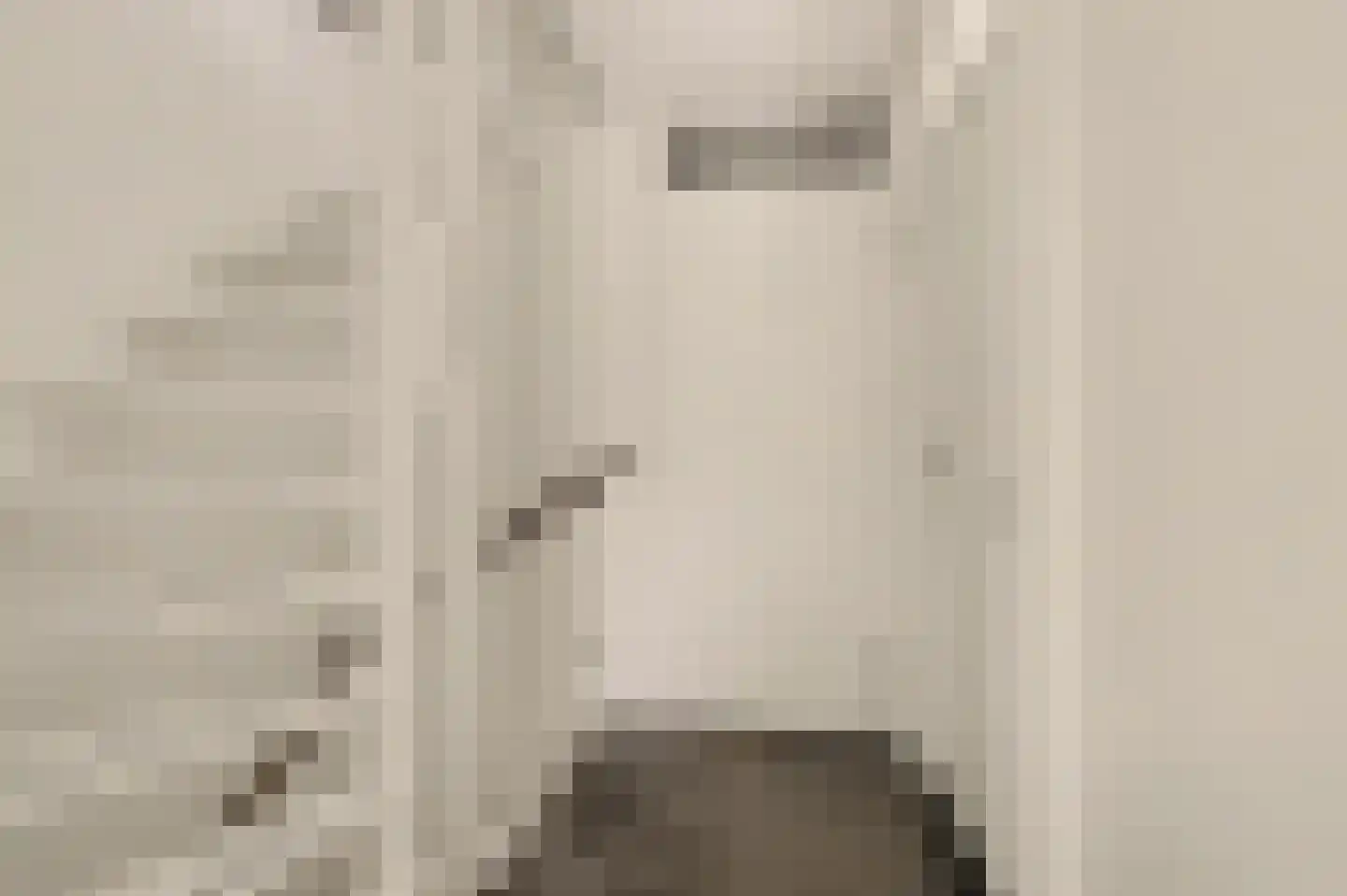 Donkere Gaard 60 Tricht thumbnail 21