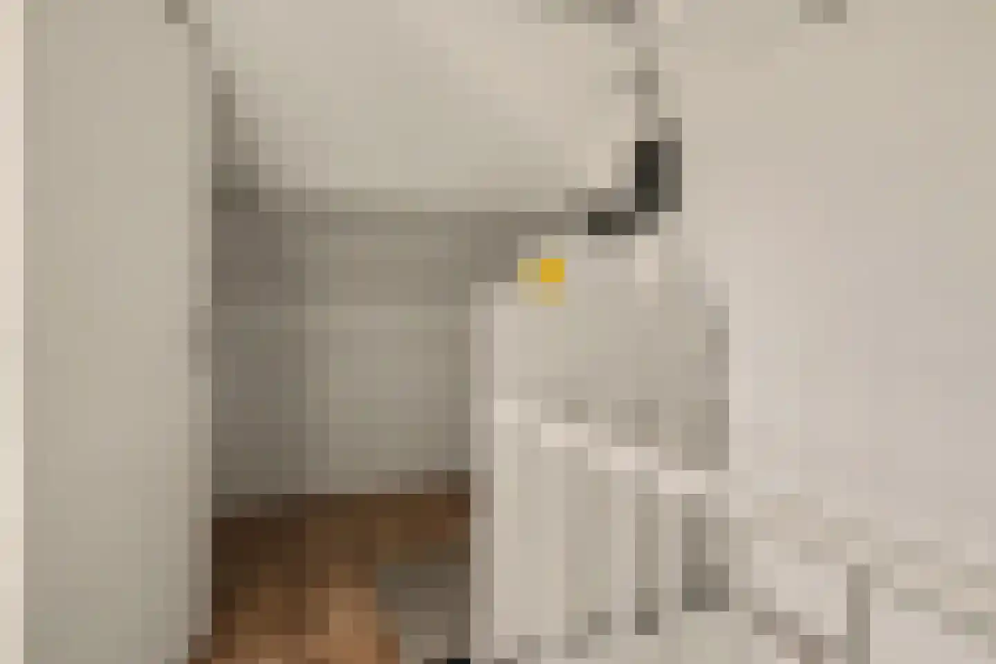 Donkere Gaard 60 Tricht thumbnail 36