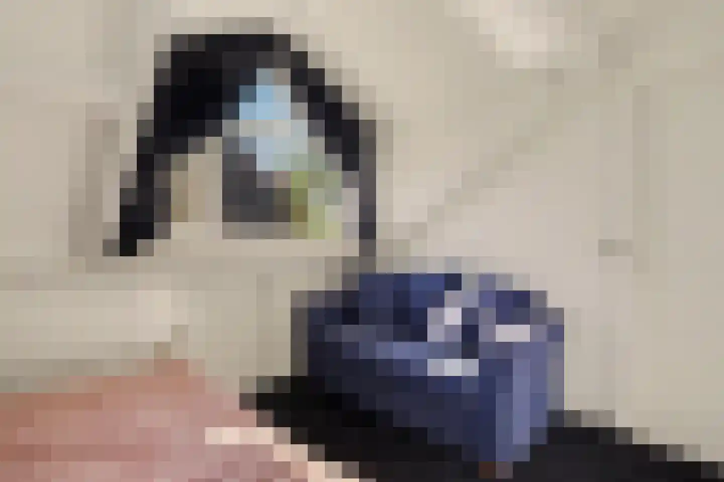 Donkere Gaard 60 Tricht thumbnail 38