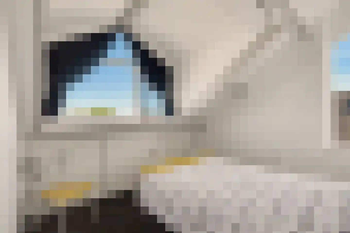 Donkere Gaard 60 Tricht thumbnail 41