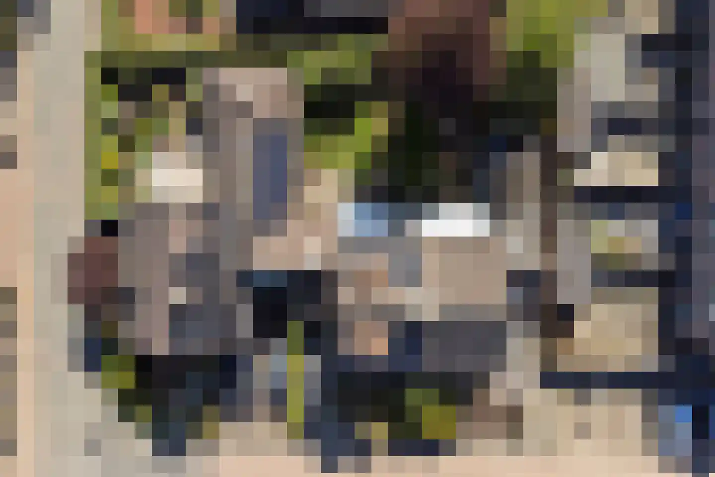 Donkere Gaard 60 Tricht thumbnail 47