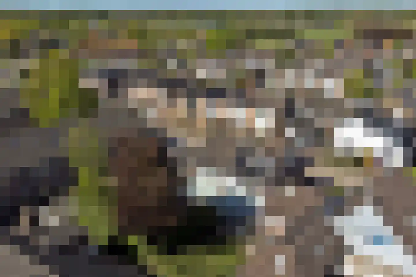 Donkere Gaard 60 Tricht thumbnail 48