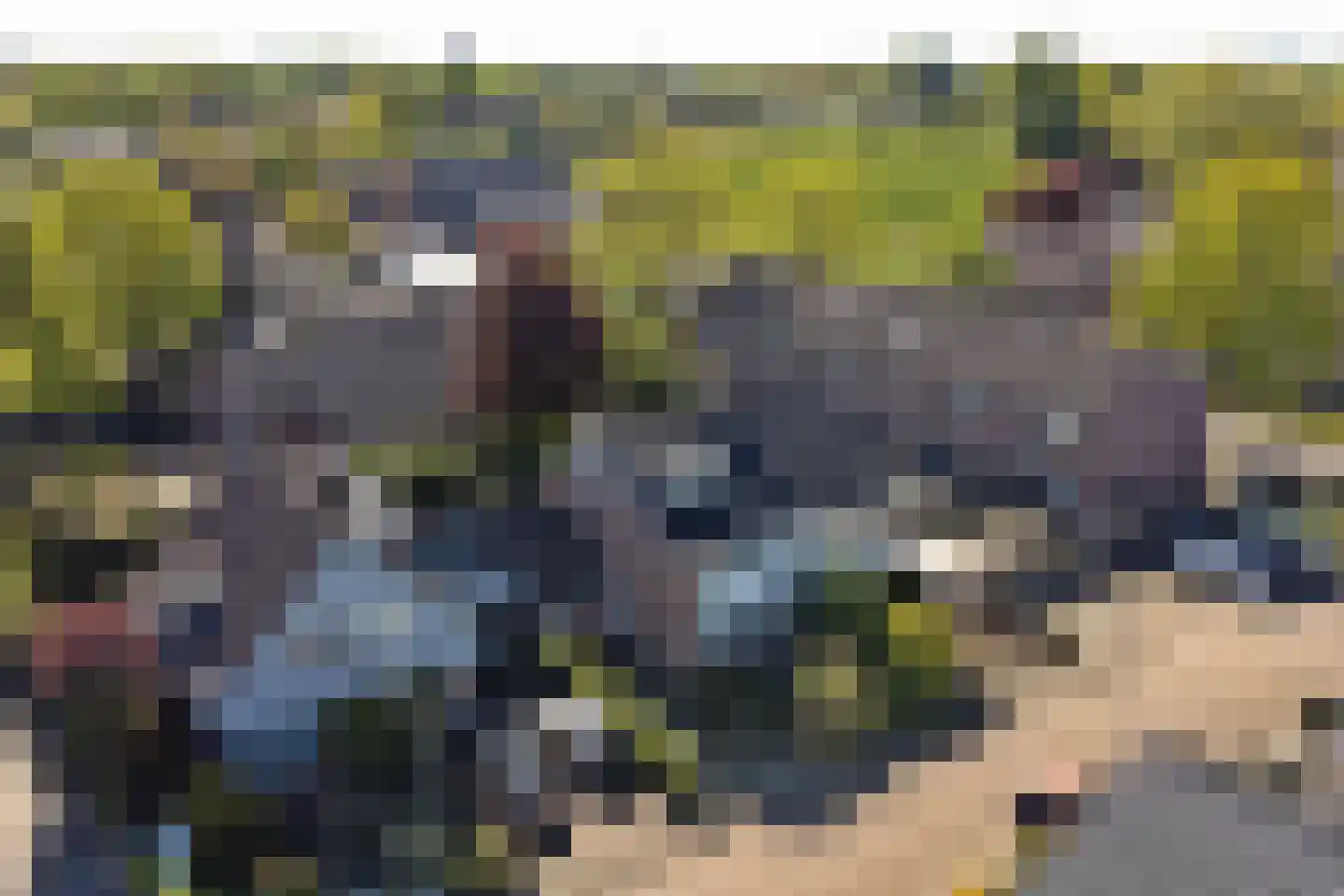 Donkere Gaard 60 Tricht thumbnail 49