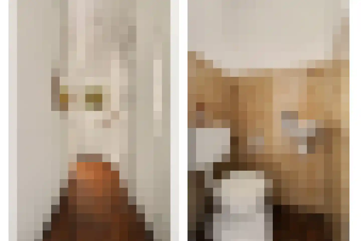 Donkere Gaard 60 Tricht thumbnail 8