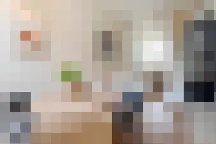 Donkere Spaarne 10 Haarlem thumbnail 15