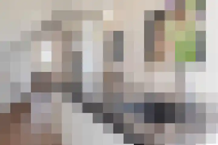 Donkere Spaarne 10 Haarlem thumbnail 7