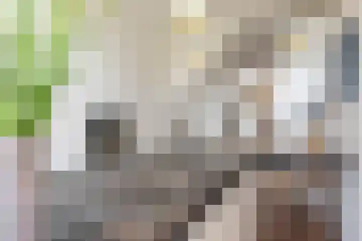 Donkere Spaarne 10 Haarlem thumbnail 8