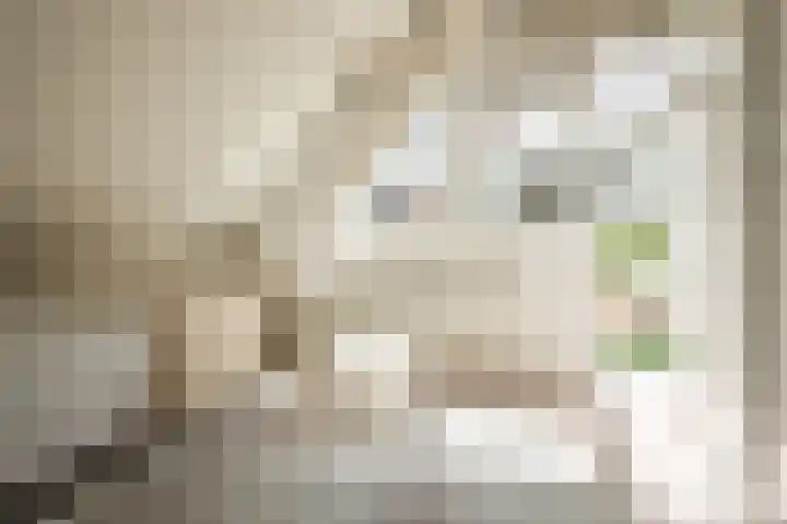 Donkere Spaarne 46 D Haarlem thumbnail 36