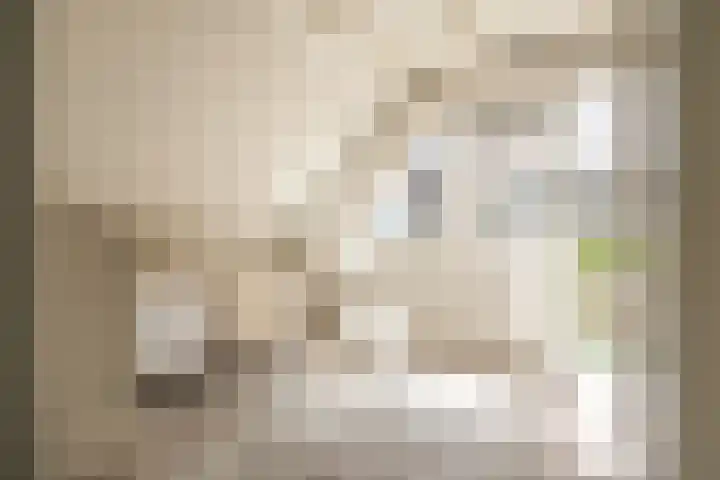 Donkere Spaarne 46 D Haarlem thumbnail 37