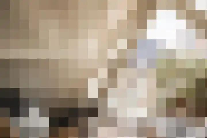 Donkere Spaarne 46 D Haarlem thumbnail 48