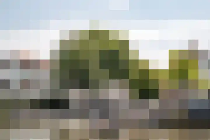 Donkere Spaarne 46 D Haarlem thumbnail 52