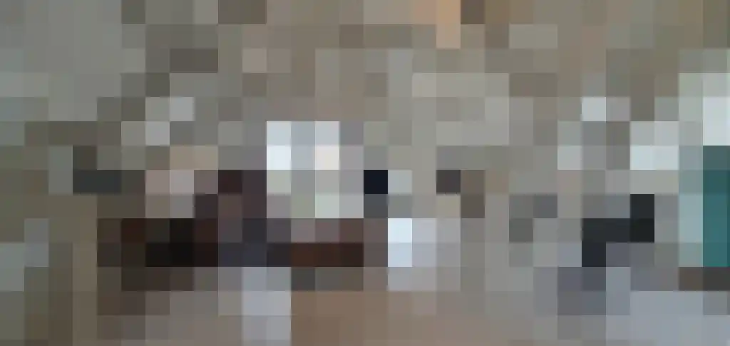 Donkere Spaarne 52 Haarlem thumbnail 5