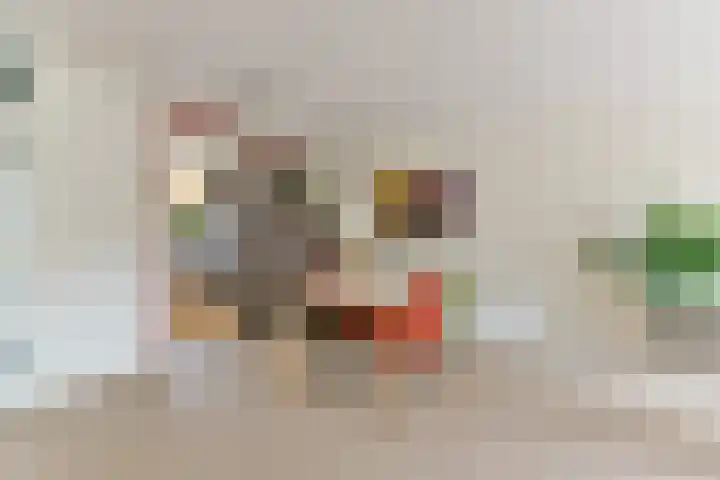 Donkeregaarde 102 Nieuwegein thumbnail 12